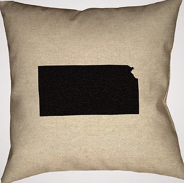 Katelyn Smith Kansas 18" x (Pillow Cover Only) Pillow-Faux Suede Double...